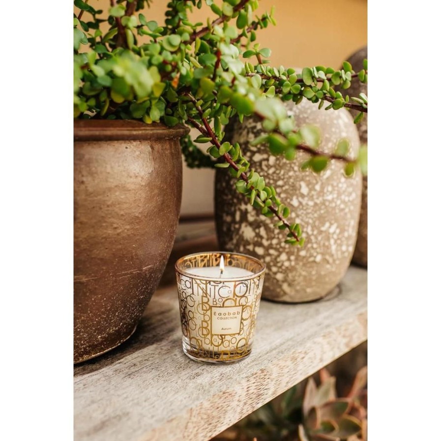 Decor BAOBAB | Velas Sttro